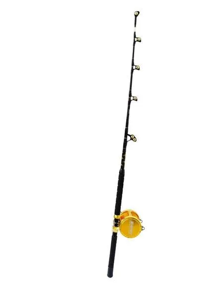 80W 2-Speed Reel on a Tournament Edition Straight Rod