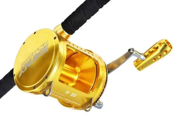 80W 2-Speed Reel on a Tournament Edition Straight Rod