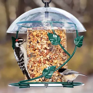 BirdsChoice Hanging Seed Cylinder Feeder