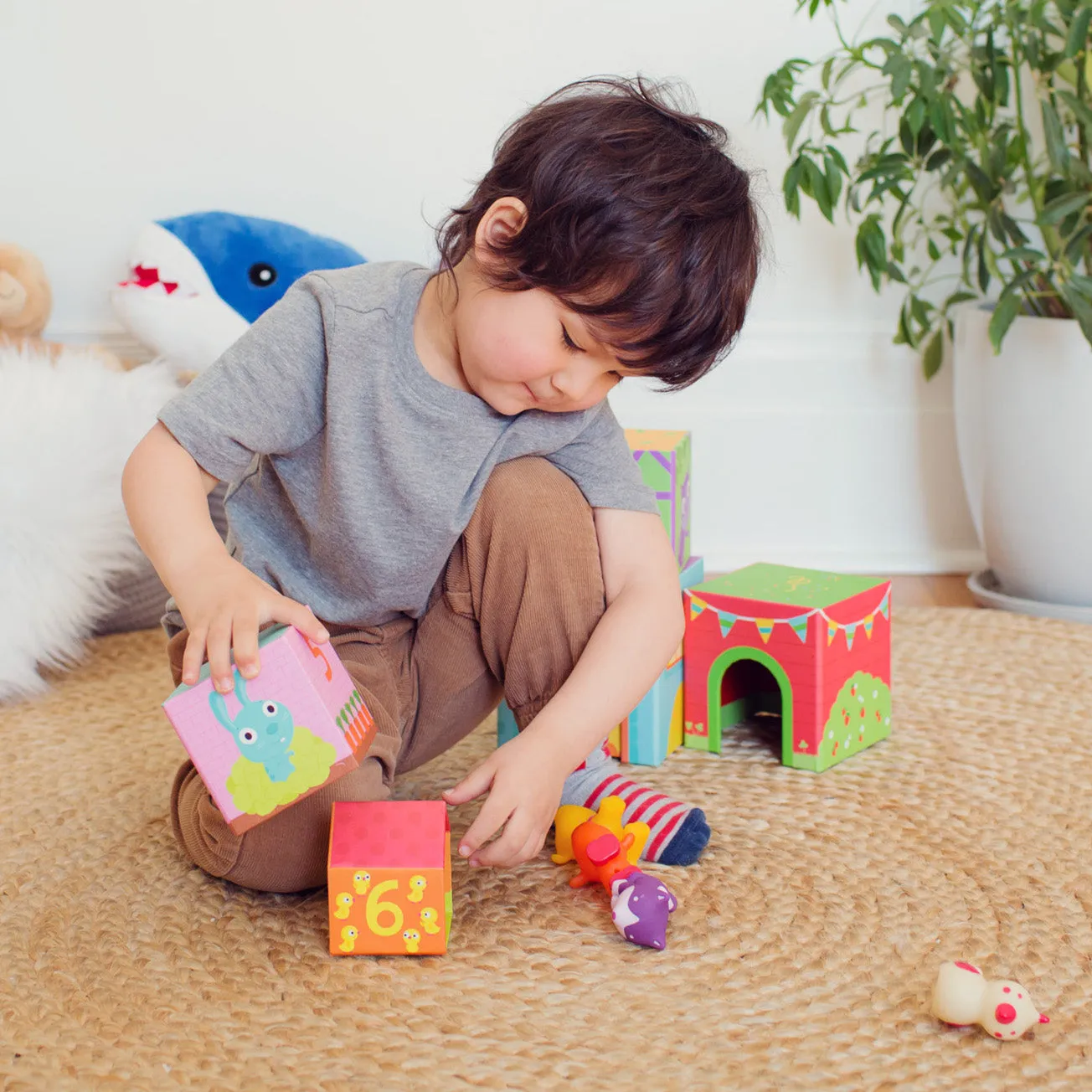 Blocks and Towers, Topanifarm